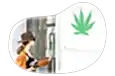 Customer entering a cannabis dispensary.