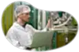 Cannabis manufacturer looking at packaging process.