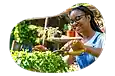 A gardener trims a plant.