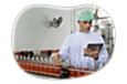 Food and beverage manufacturer inspecting bottles.
